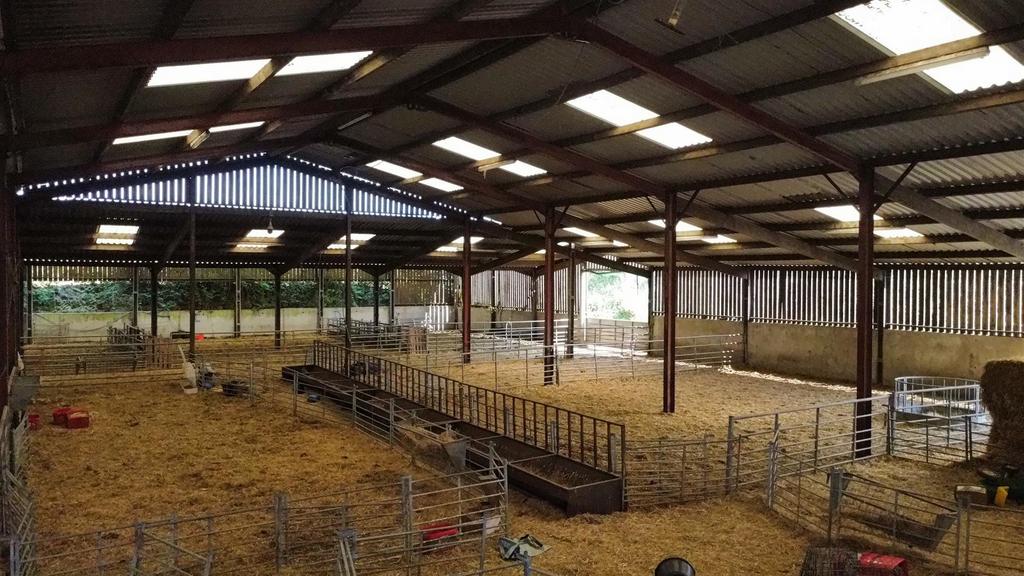Livestock shed lean to