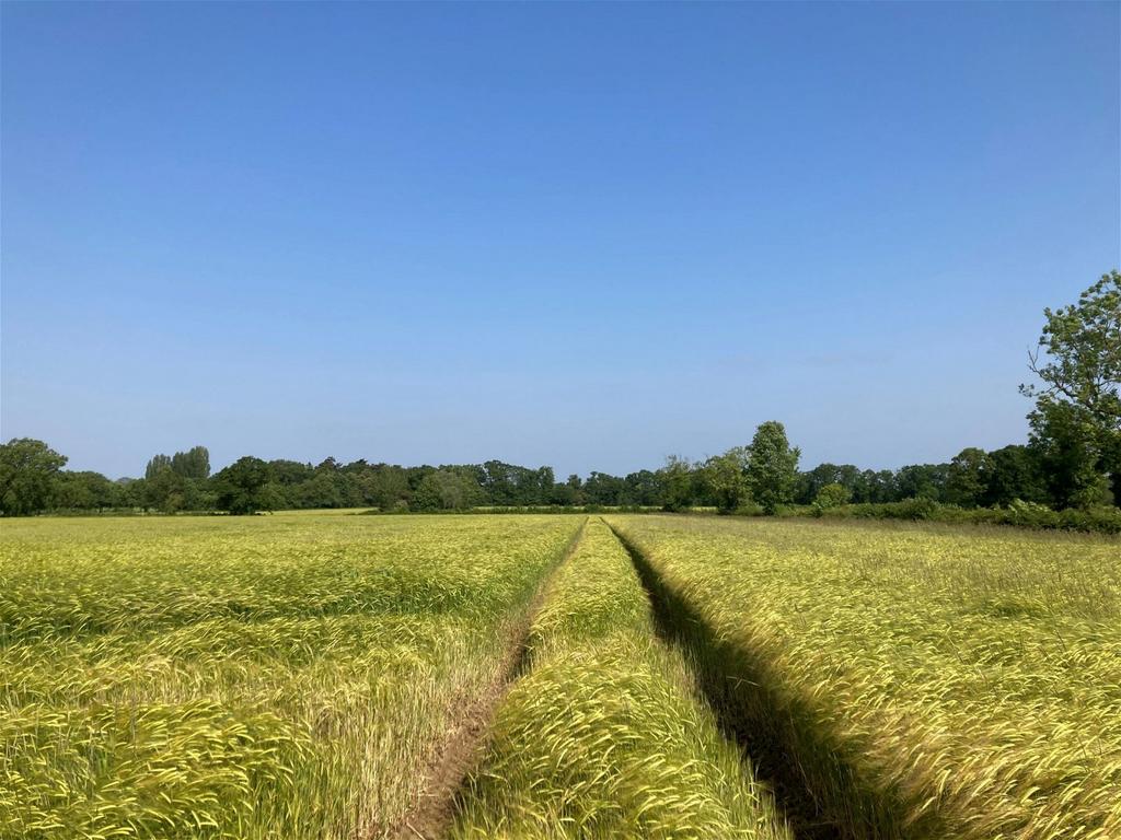 London Road, Suton, Norfolk Land for sale £700,000