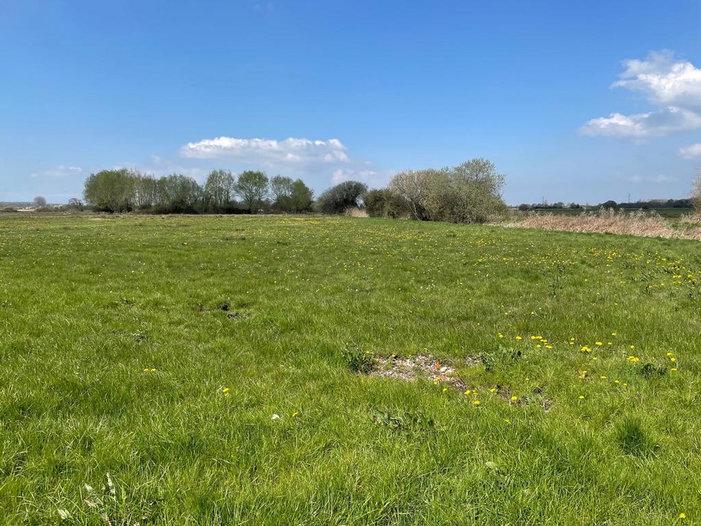 Lot B Edington Road, Edington, Edington, TA7 Farm land for sale £35,000