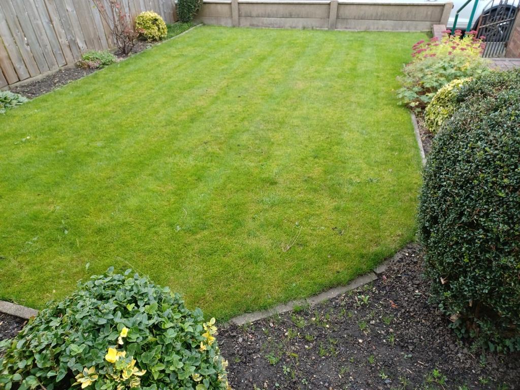 New Front Garden