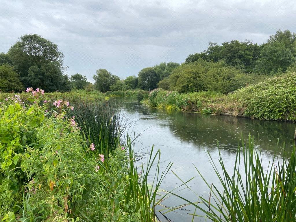 View Of River Behind