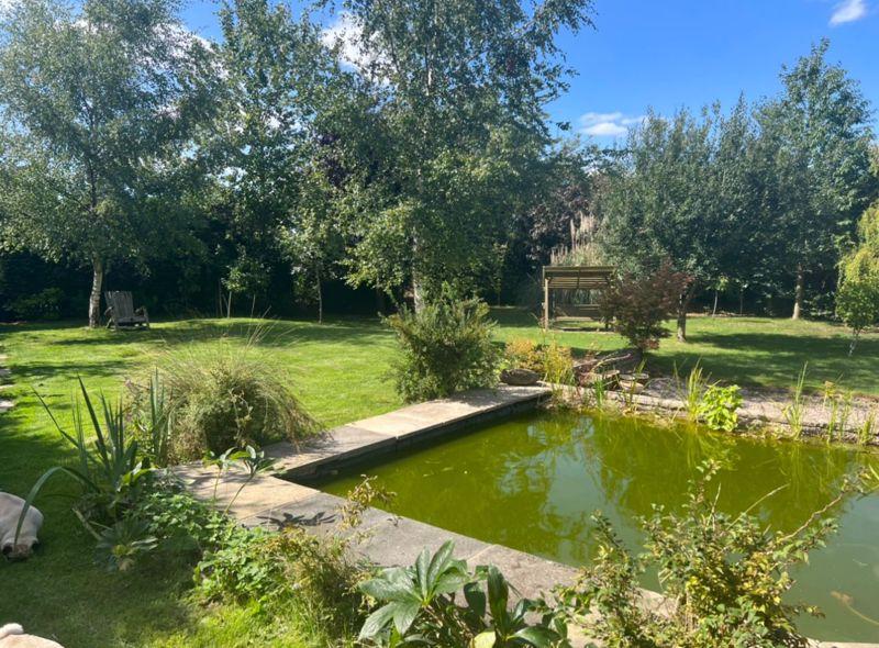 Rear garden and pond