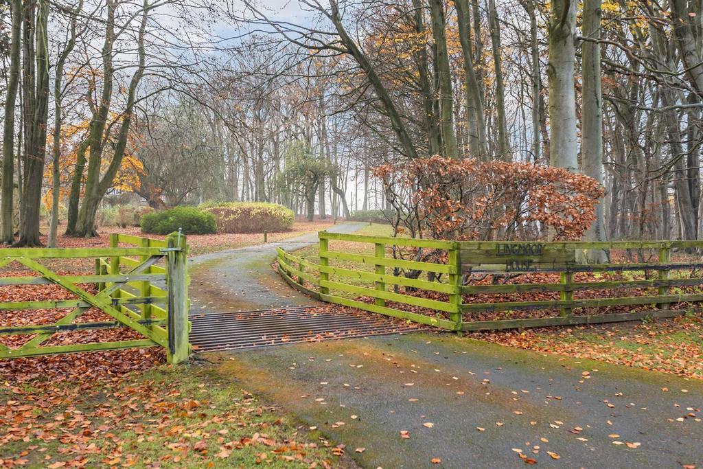 Entrance and Drive