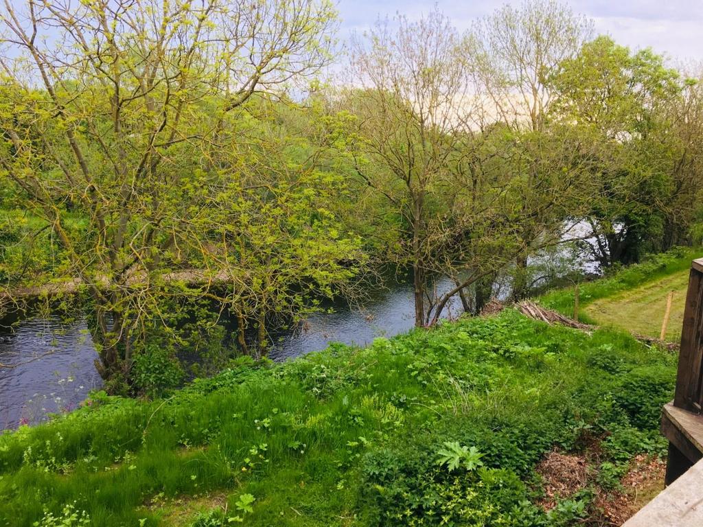 River view
