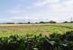 Additional image 22 of Plex Moss Lane, Halsall