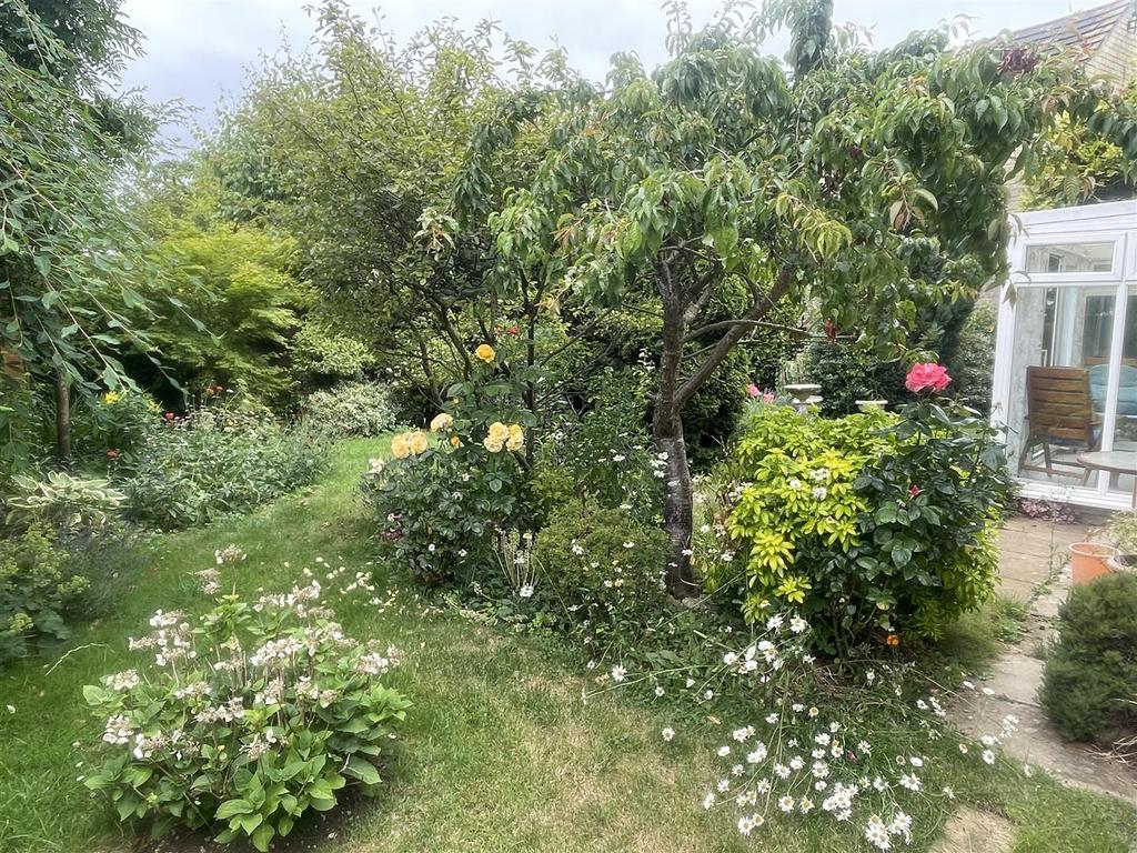 Garden 1.JPG