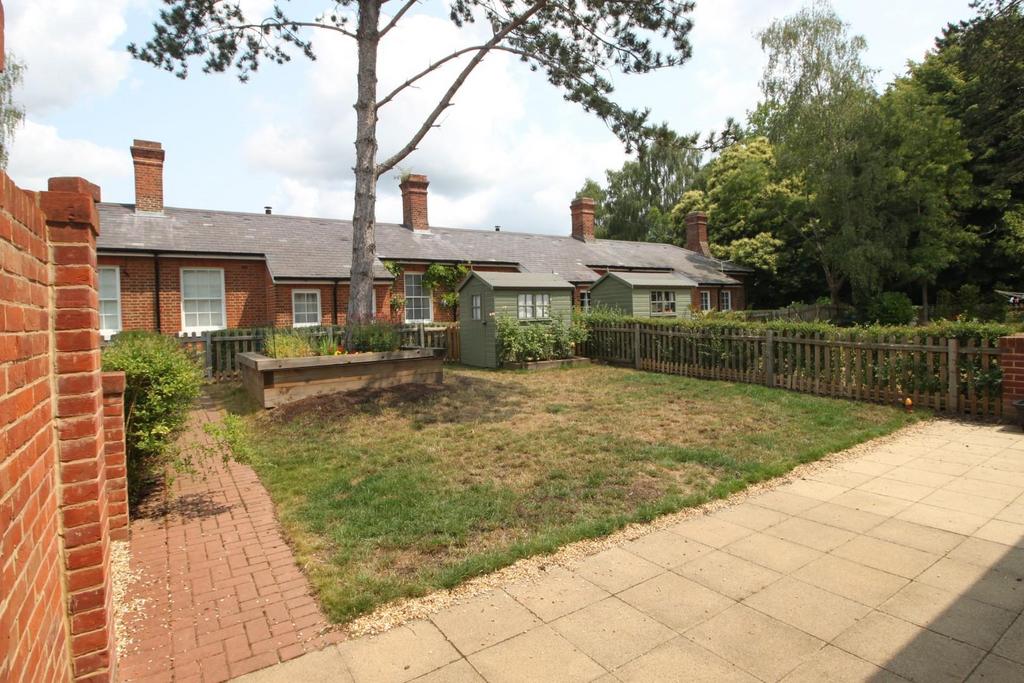 Garden 1.JPG