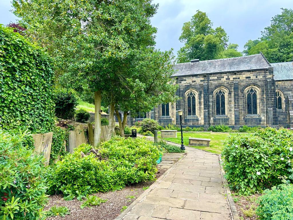 Photograph 25