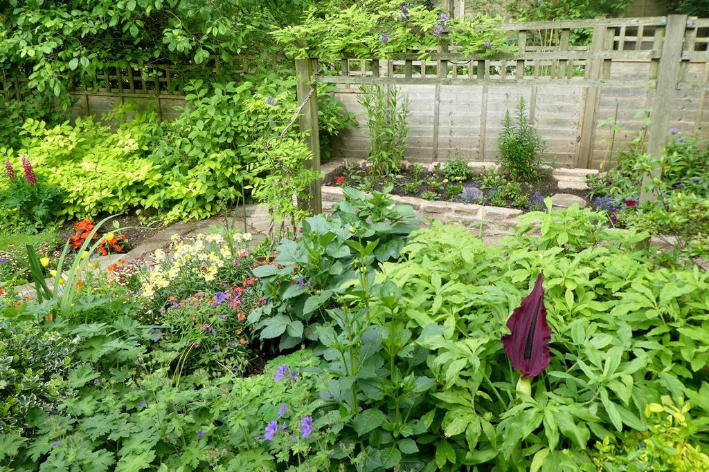 Lily and Garden Bed