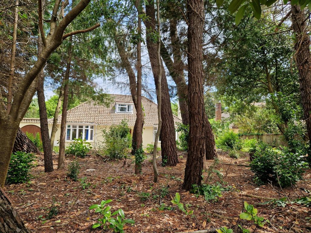 Canford Cliffs Road, Poole BH13 3 bed detached bungalow to rent £