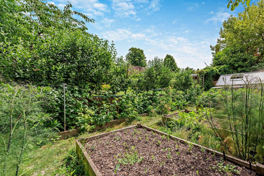 Vegetable Garden