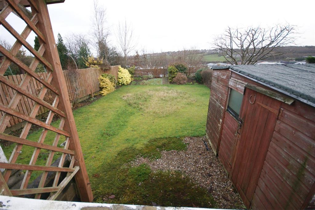 Back garden