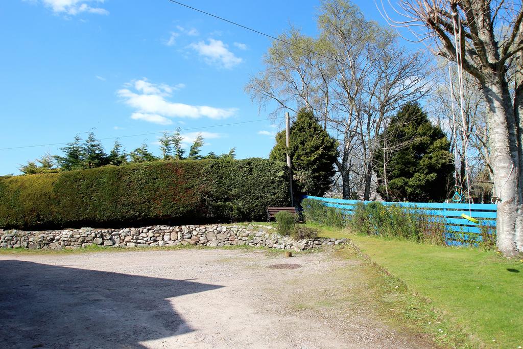 Garden 1