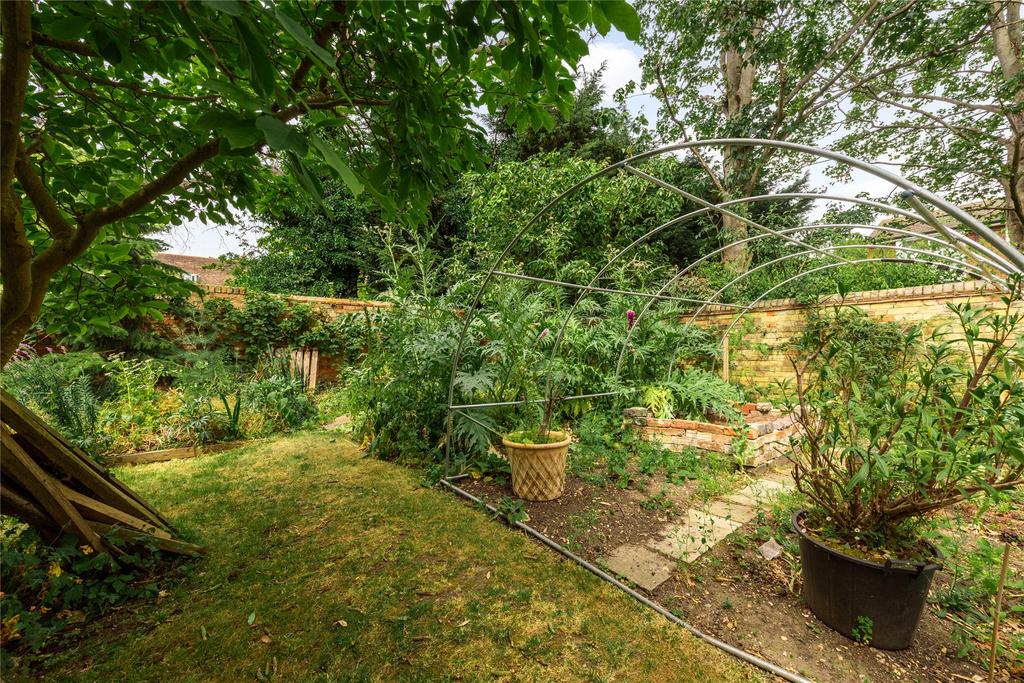 Vegetable Garden