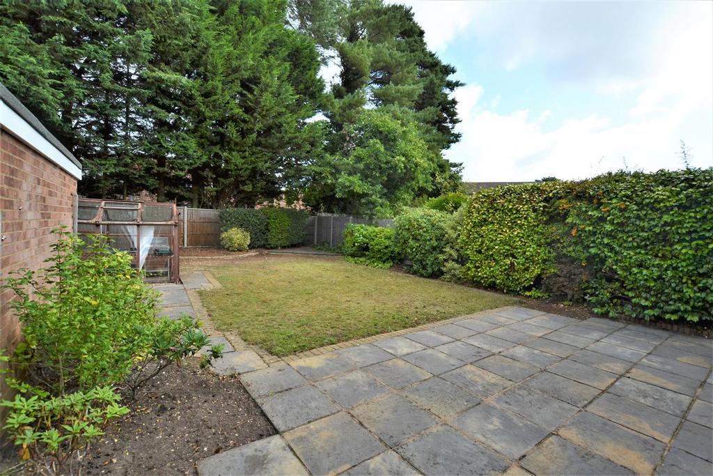Garden 3.JPG