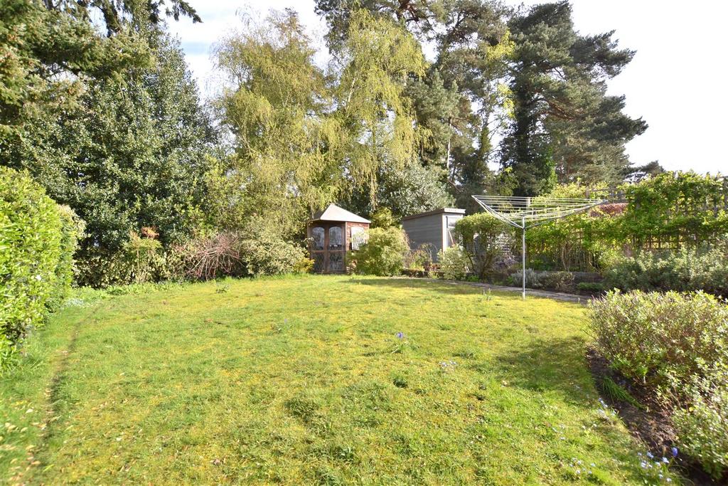 Garden 3.JPG
