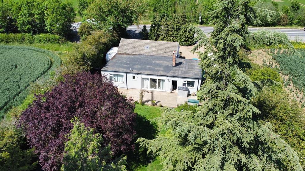 Rear house drone 1.JPG