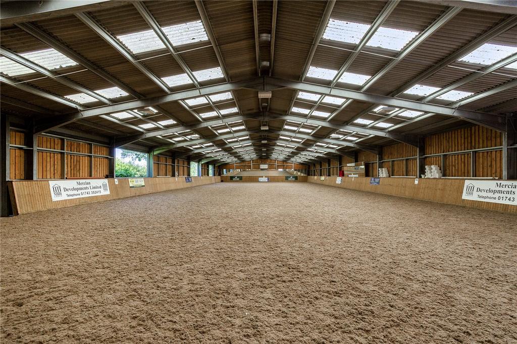 Indoor Arena (60x20)