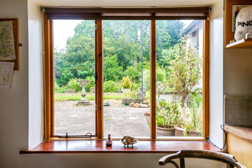 Kitchen View