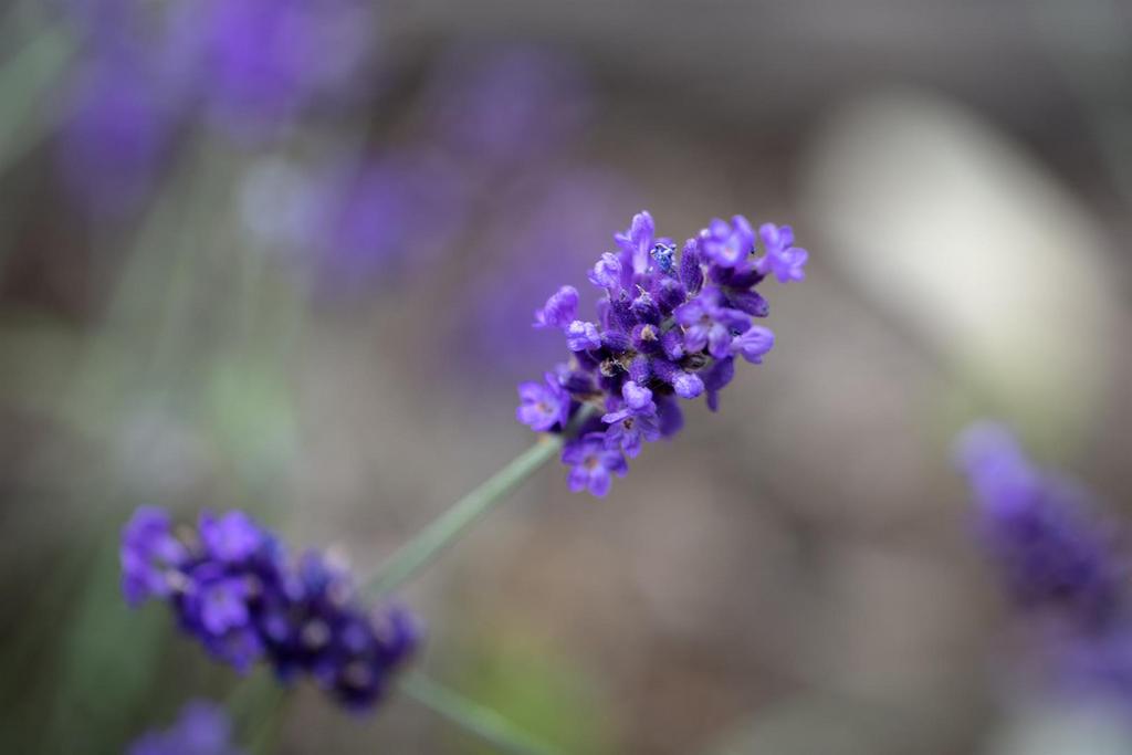3 Y6 A7056.jpg