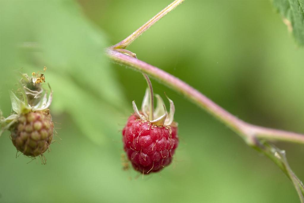 3 Y6 A7062.jpg