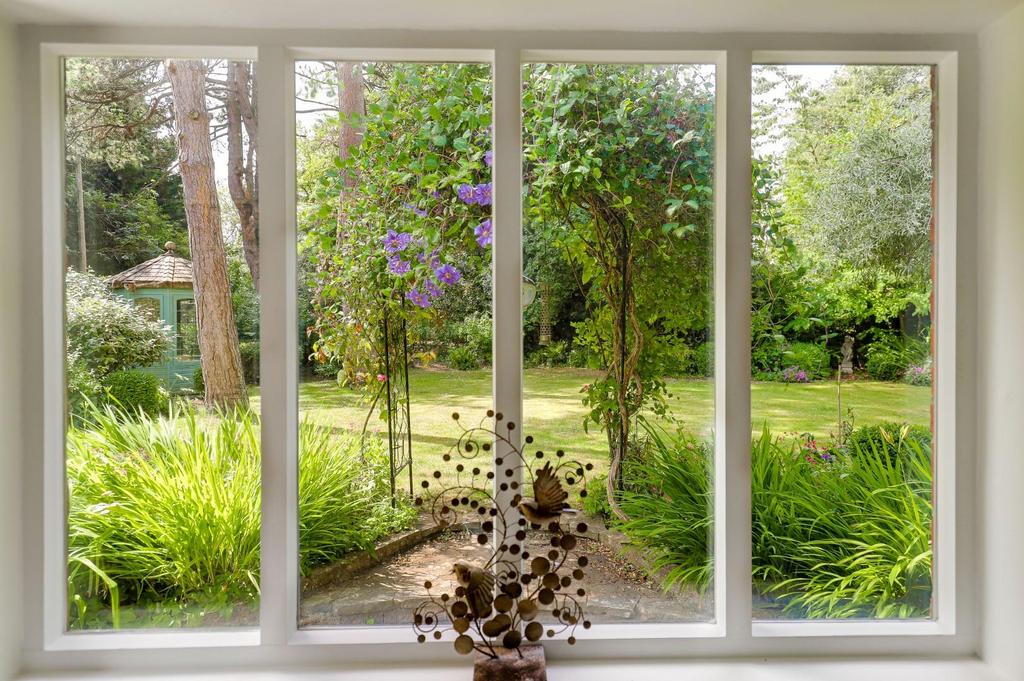 Window View.jpg