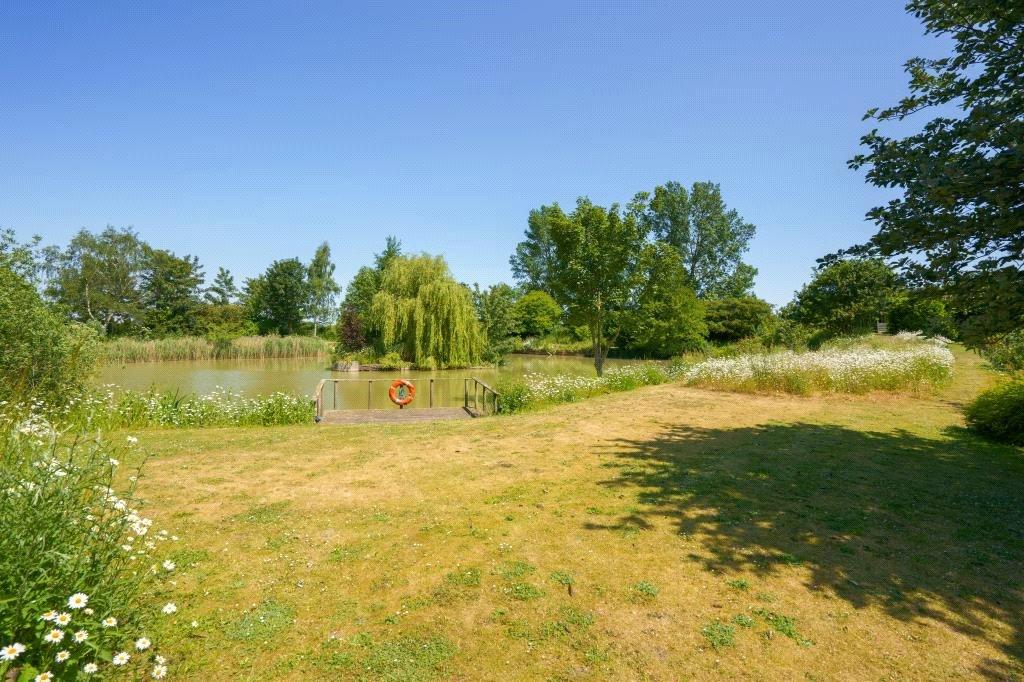 Pond View