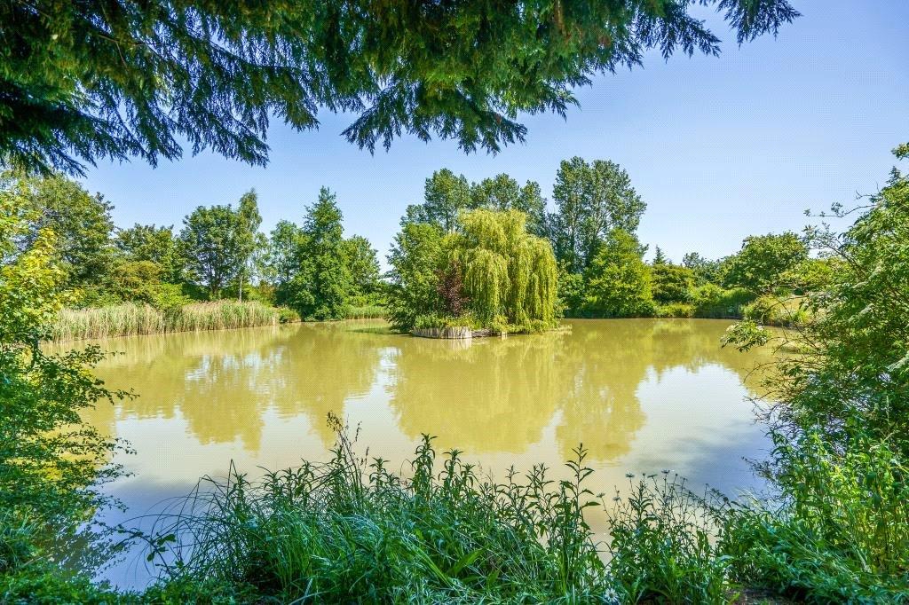 Pond