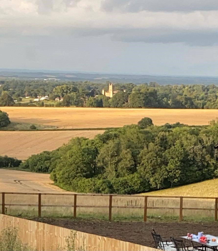 View From Bedroom