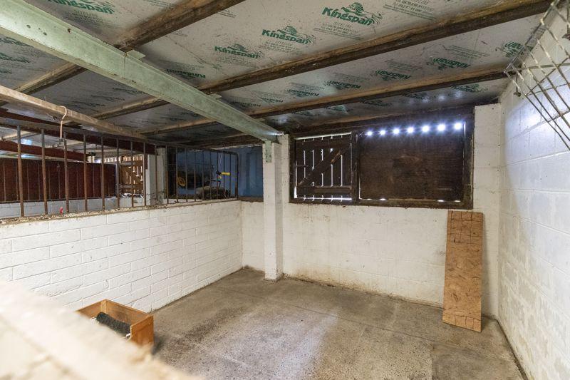 Barn 3 Loose Box