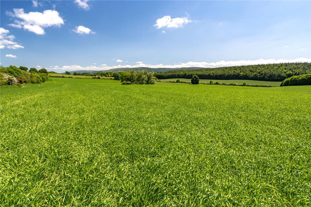 Barne Farmland