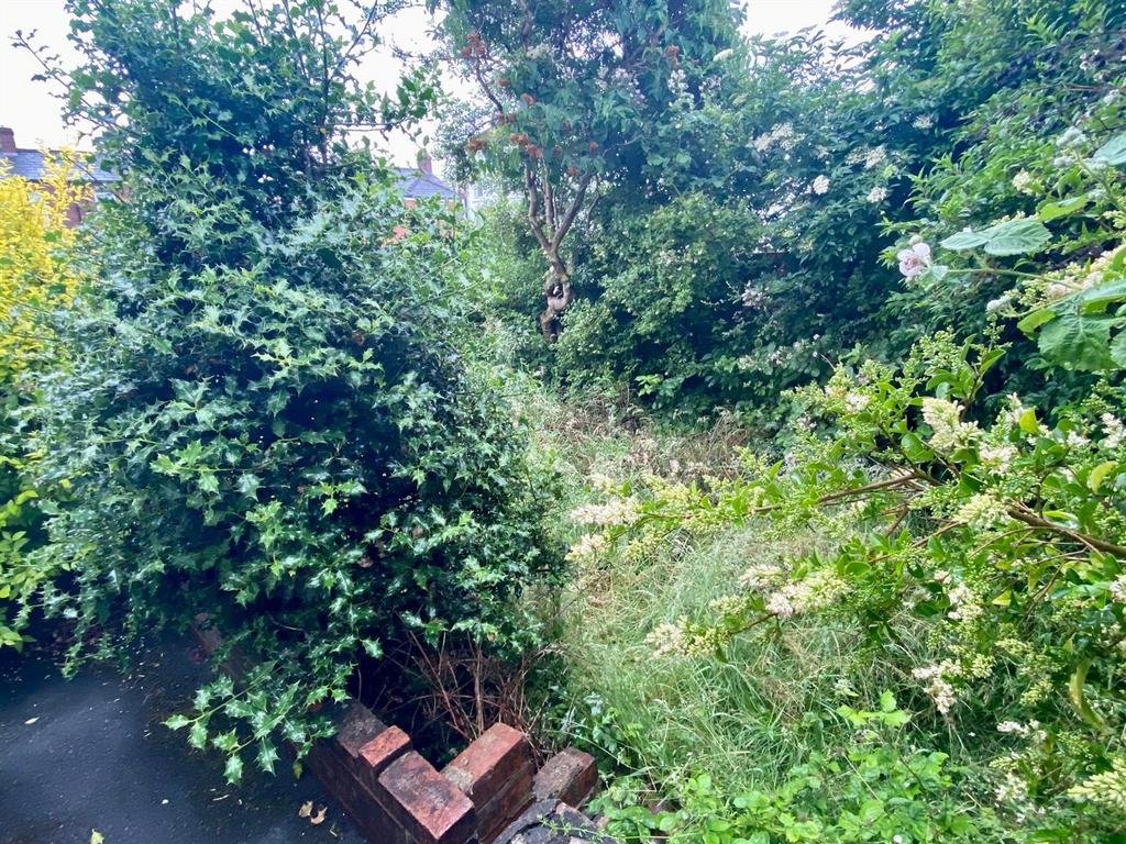 Sunny bank road 11 garden.jpg