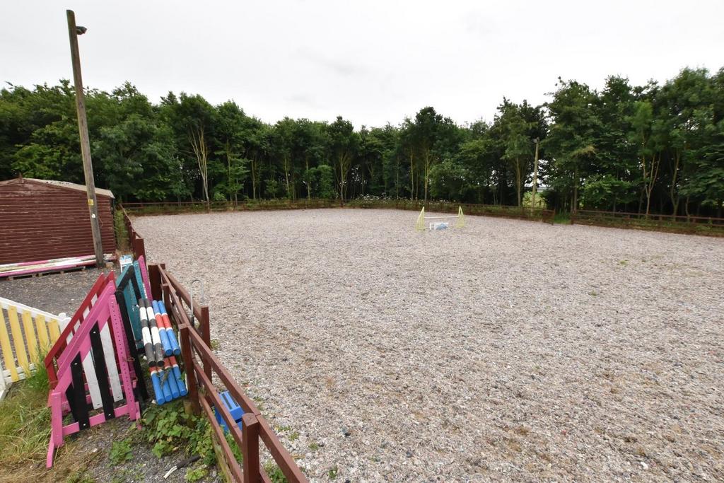 Arena