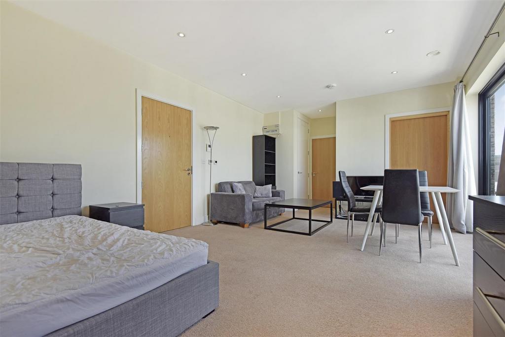 Reception Room/Bedroom