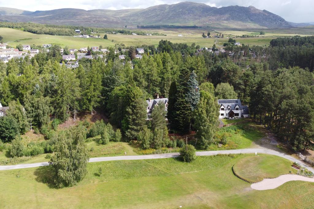 Drone View