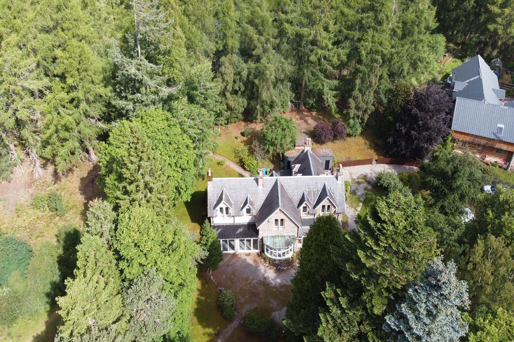Drone View