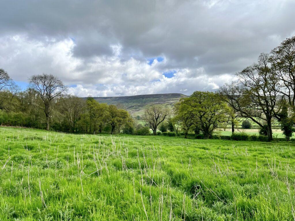 3.38 Acres, Nether Silton Farm land for sale £50,000