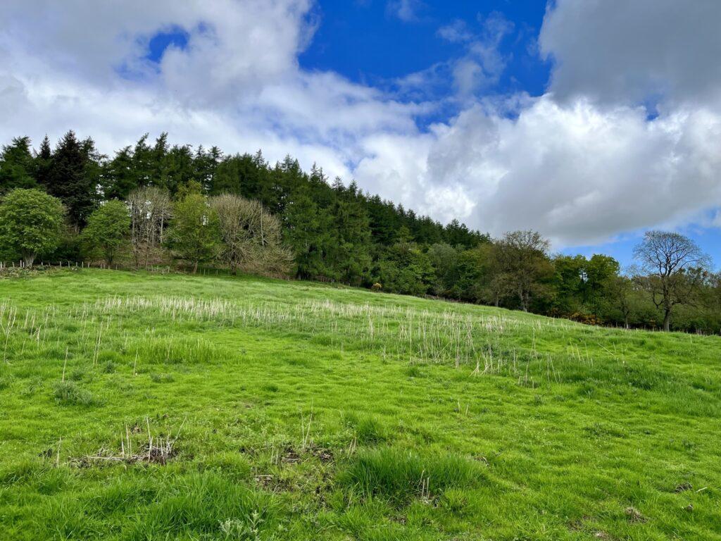3.38 Acres, Nether Silton Farm land £50,000