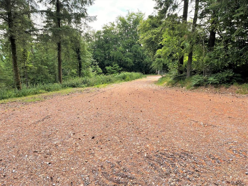 Nethercott Wood, Oakford, Tiverton Land for sale £340,000