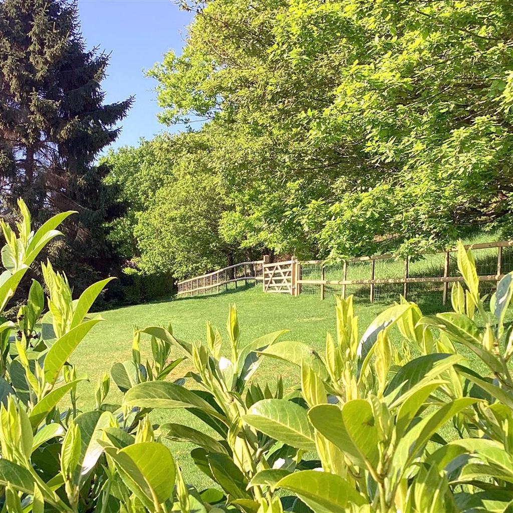 New Fence.jpg