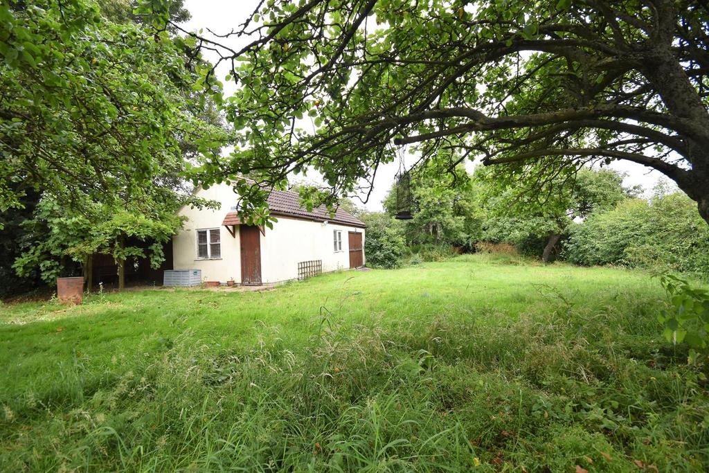 Dsc 0040.jpg