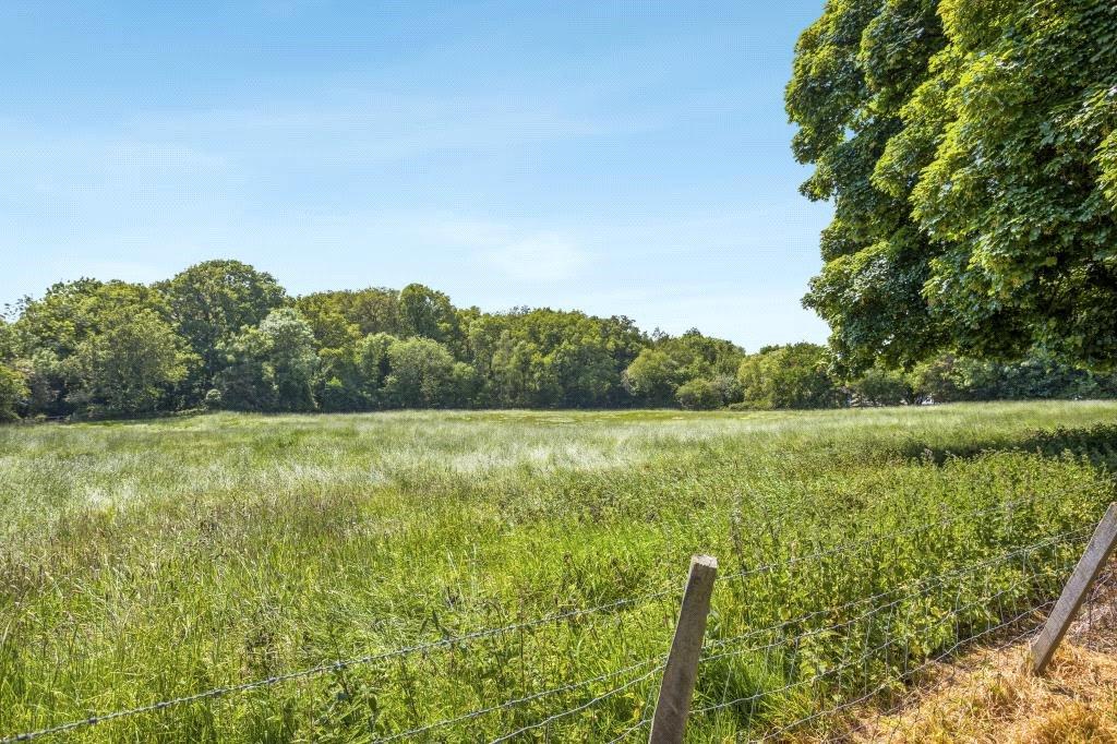 Bordering Open Field