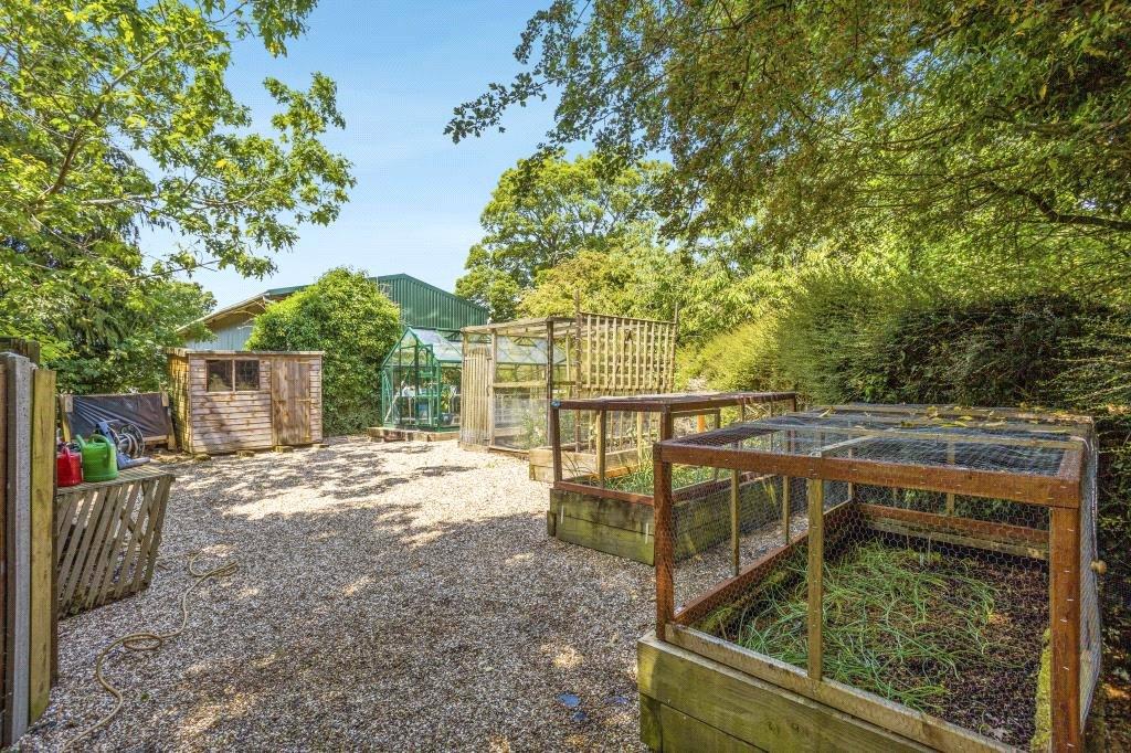 Vegetable Garden