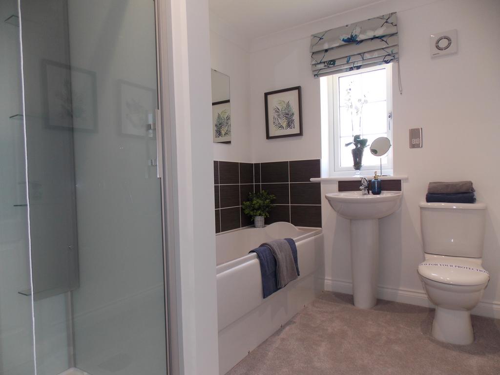 Typical Family Bathroom