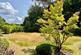 Additional image 23 of Sharvells Road, Milford on Sea, Lymington, Hampshire, SO41