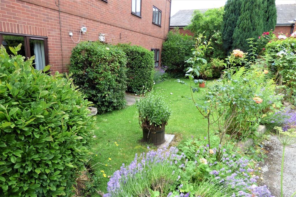 Communal garden