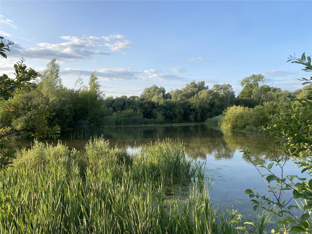 Lake 95