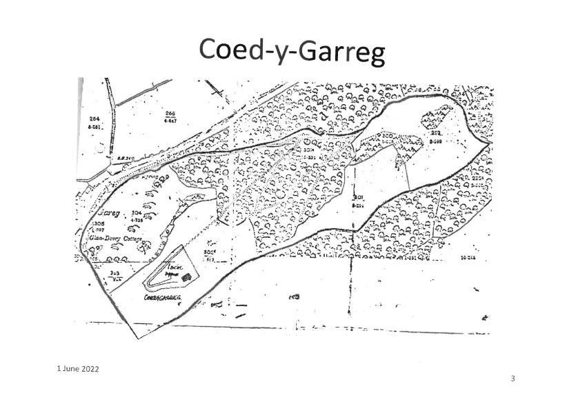 Coed y garreg