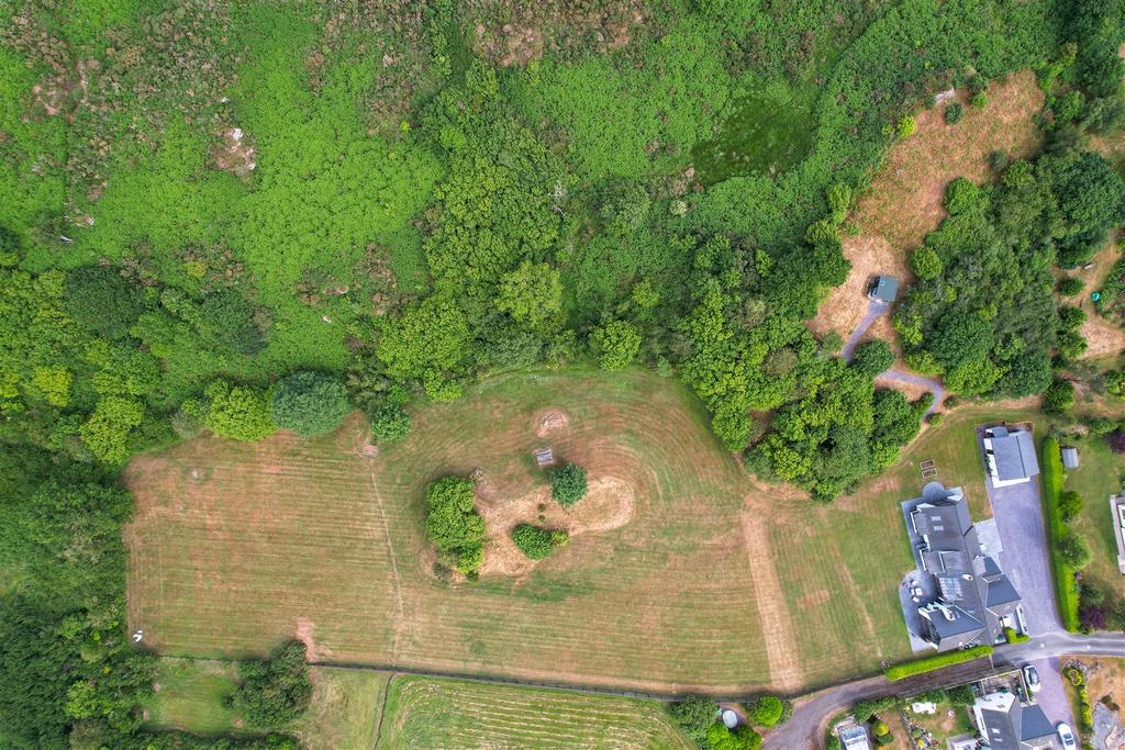 DJI 0117.jpg