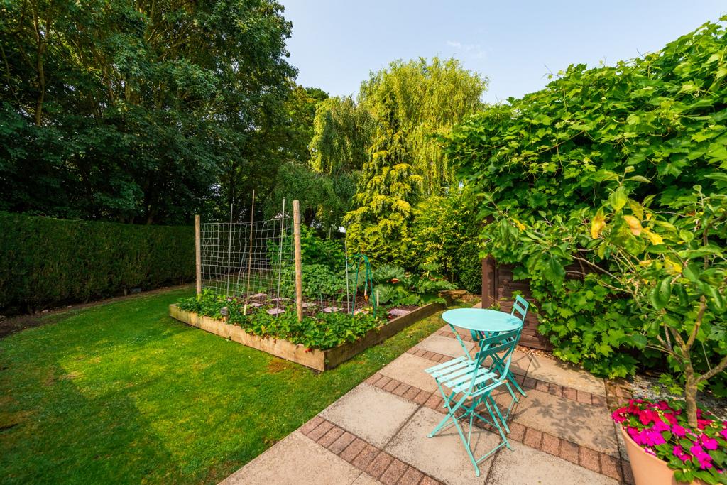 Patio and Veg Bed